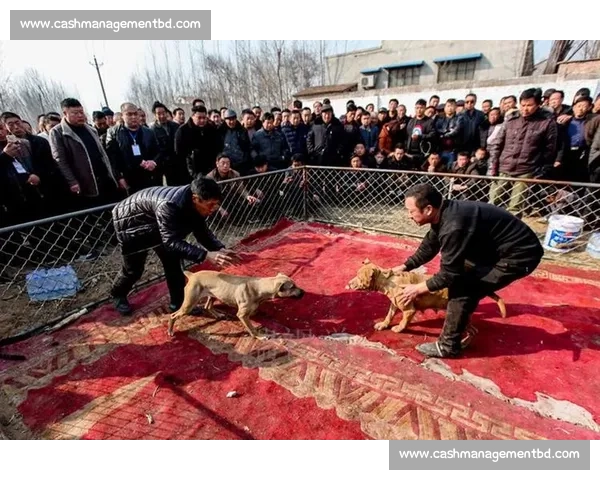 斗狗场比赛背后隐藏的暴力与伦理争议及其对社会的深远影响 斗狗场比赛背后隐藏的暴力与伦理争议及其对社会的深远影响