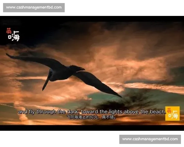 从青涩新秀到巅峰传奇：探寻体育职业生涯的成长与挑战